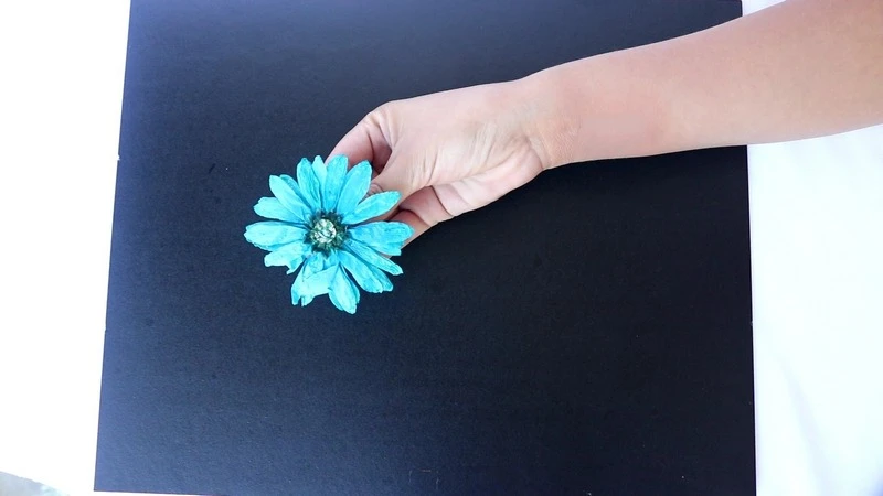 Beautiful Shadow Box with Flower Drying Art